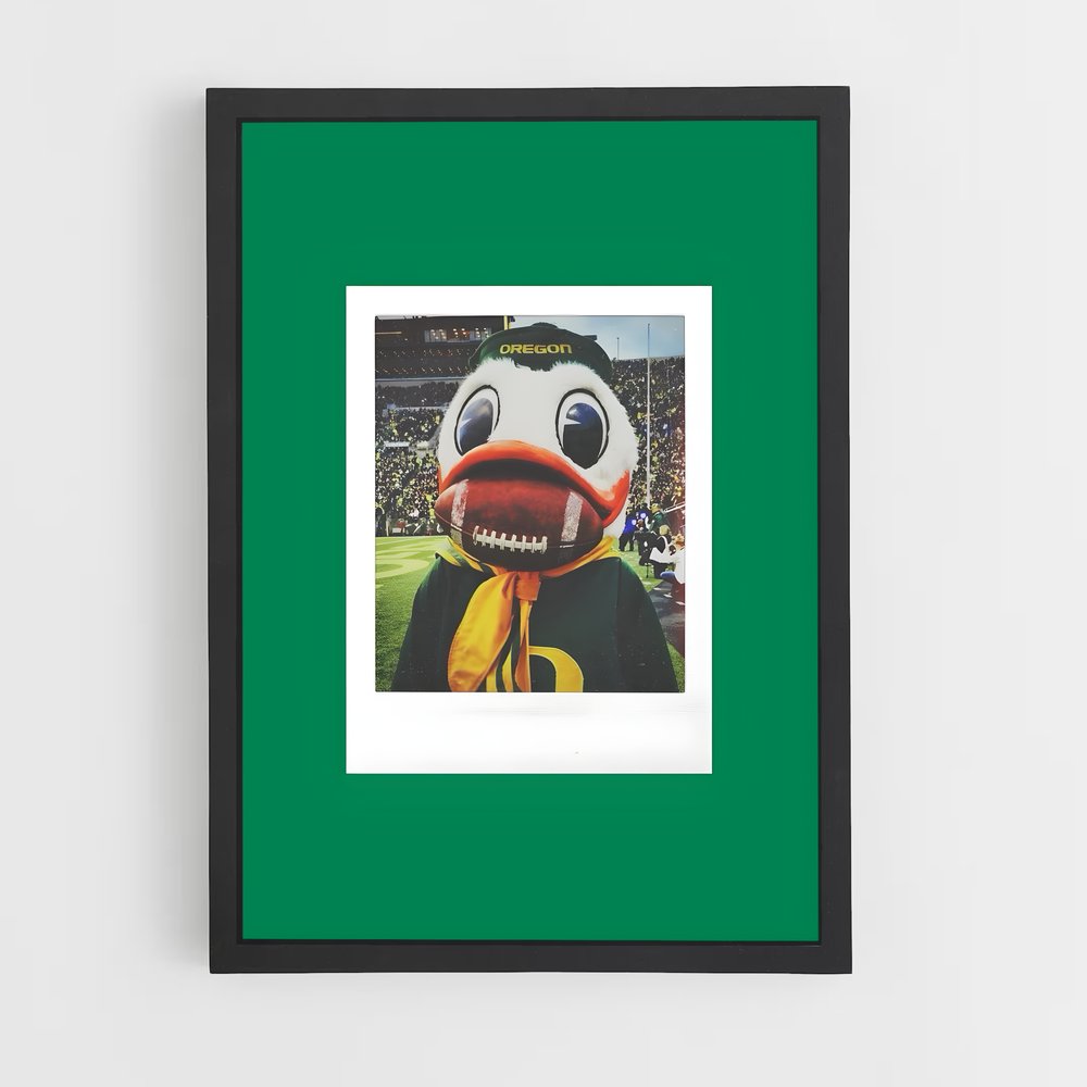 Poster Duck à la Mode – affiche Basketball (vue 2)